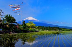 img_fuji